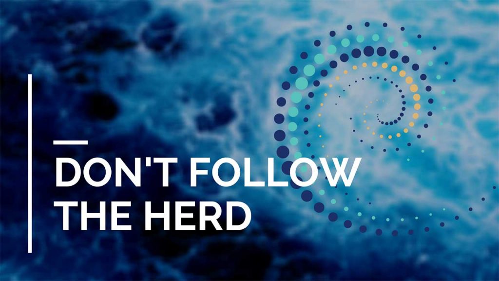 dont-follow-the-herd
